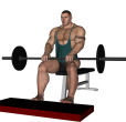 Calf Raise - Barbell Seated